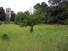 min 546 1.jpg min 546 1.jpg